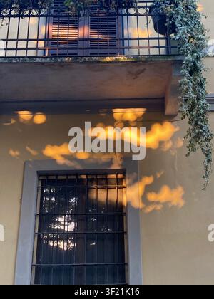 Warm light from the setting sun casting soft, painterly cloud reflections onto a textured ochre building wall and a security barred window with leafy Stock Photo