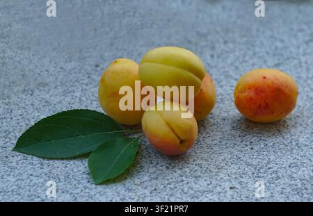 Red yellow apricot fruit on marble stone Stock Photo