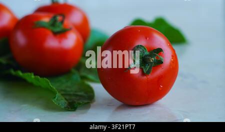 Cucumbers and tomatoes on a white background Stock Photo