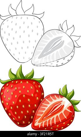 Cartoon style red strawberries and black and white outlines isolated on a white background. Stock Vector