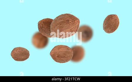 Whole coconuts falling, levitate coco nut explosion isolated on blue background, fresh tropical palm fruit, natural milk, oil ingredient Stock Photo