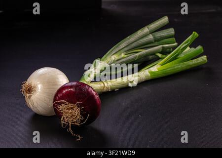 Fresh white onion red onion and green scallions arranged on dark surface. Vibrant colors and crisp textures highlight healthy ingredients for culinary Stock Photo