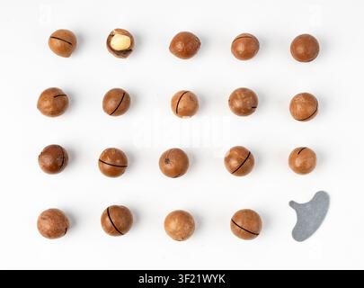 Macadamia nuts set isolated. Natural raw peeled macadamia seeds and shells, the hardest and most expensive nuts in the world on white background top v Stock Photo