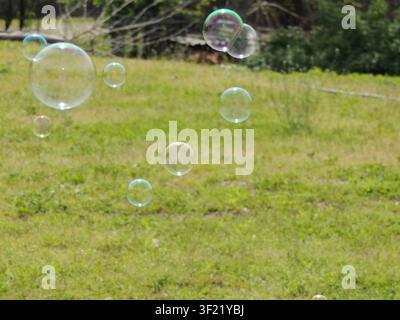 Transparent, iridescent soap bubbles float over a green lawn. Sunlight creates vibrant reflections on their surface. The blurred background Stock Photo