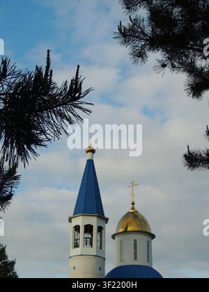 The golden domes and blue spire of the Orthodox church's bell tower rise into the cloudy sky, framed by the dark branches of pine trees. Stock Photo