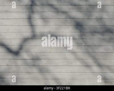 wall of horizontal wooden planks painted a light, almost white color. The soft, dark shadows from the tree branches appear on the flat surface Stock Photo