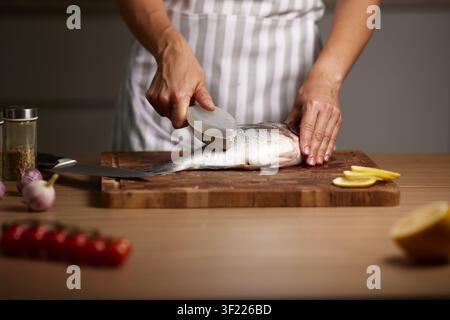 Person cleaning fresh sea bream scaling fish Stock Photo