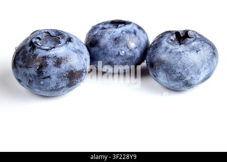 Three fresh ripe organic blue blueberries with water drops isolated on white background. Macro closeup details for healthy dessert, vegan raw food, sw Stock Photo