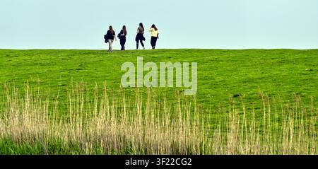Four young women walking together on green grass dike against clear blue sky, enjoying nature and friendship Stock Photo