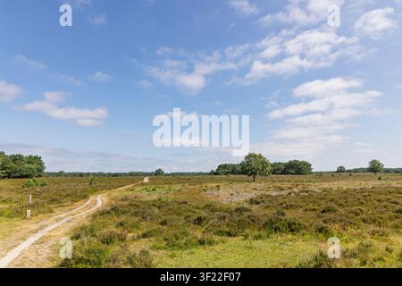 Bussum, Netherlands. A peaceful dirt walking path guiding through the wide open landscape of the Bussumerheide heather fields on a bright summer day. Stock Photo