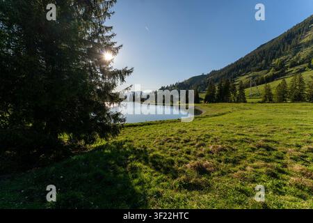 A serene evening view of the Seealpe alpine reservoir on the Nebelhorn mountain in Bavaria, Germany. The sun shines through the branches of a large pi Stock Photo