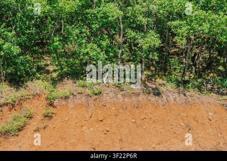 Exposed clay soil cliff profile showing deep geological layers and ...
