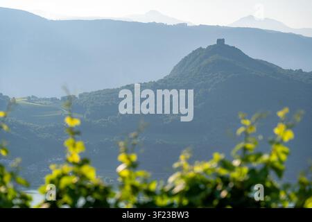 A scenic path through a lush vineyard overlooking a beautiful lake and mountains in Italy Stock Photo