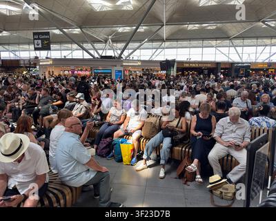 Stansted airport, Essex, UK. 7th July 2026. Stansted departure lounge crowded as the holiday getaway hots up. Hundreds of travellers cram the airport Stock Photo