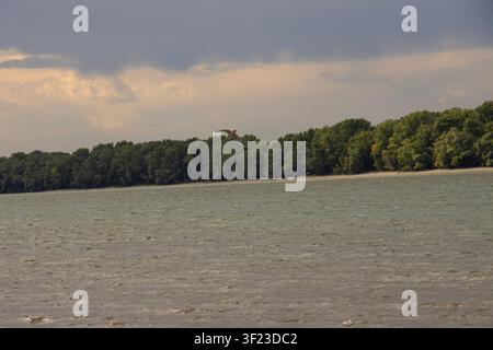 White seagull with an orange beak flying over the rippling Danube river under dark storm clouds Stock Photo
