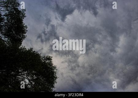 Looking up at dramatic dark grey and light storm clouds in a gloomy sky with silhouetted trees canopy on the left Stock Photo