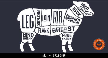 Lamb, sheep, hand-drawn butcher cuts Stock Vector