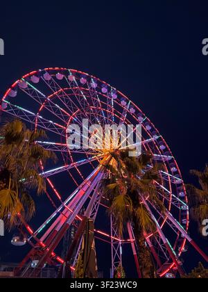 Illuminated Ferris wheel at night in Batumi, Georgia with colorful neon lights reflecting on palm leaves under dark sky Stock Photo
