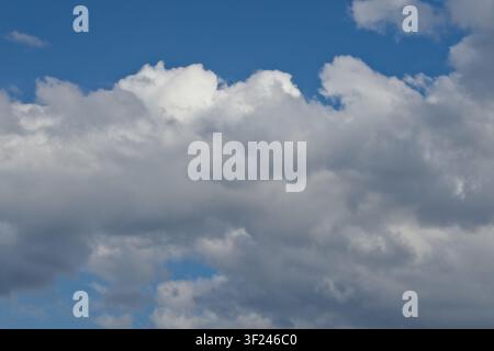 Heavy, dense cumulus clouds in shades of white and grey filling a blue sky, indicating changing weather or an approaching storm. Stock Photo