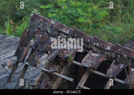 A close-up view of a severely damaged and collapsed traditional clay tile roof on an abandoned building. The weathered roof tiles are broken, decayed Stock Photo