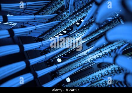 Close-up image of neatly arranged network cables connected to patch panels, illustrating organized data center infrastructure and communication techno Stock Photo