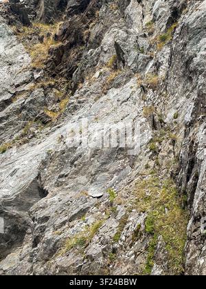 Rock cliff texture in the Fagaras Mountains. Concept of natural geological background. Stock Photo