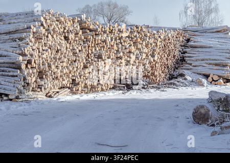 Large stacks of freshly cut timber logs covered with snow in winter forestry yard, industrial wood storage scene symbolizing resource management Stock Photo