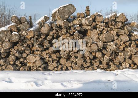 Large pile of cut firewood logs stacked outdoors in winter, snow covered timber storage showing renewable energy and forestry resources Stock Photo