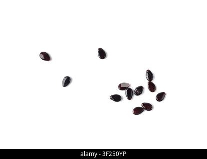 Watermelon Seeds Isolated, Water Melon Black Seed Pile, Small Black Kernels, Raw Scattered Watermelon Seeds on White Background Stock Photo