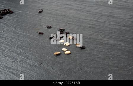 Watermelon Seeds on Black, Water Melon Black Seed Pile, Small Black Kernels, Raw Scattered Watermelon Seeds on Dark Stone Plate Background Stock Photo