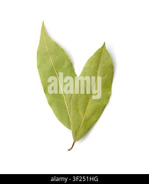 Dry Bay Leaves, Laurel Leaf, Natural Spicy Bayleaf, Fragrant Ingredient, Aromatic Spice, Dry Bay Leaves Isolated on White Background Stock Photo