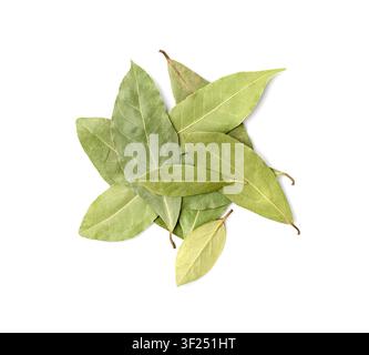 Dry Bay Leaves, Laurel Leaf, Natural Spicy Bayleaf, Fragrant Ingredient, Aromatic Spice, Dry Bay Leaves Isolated on White Background Stock Photo