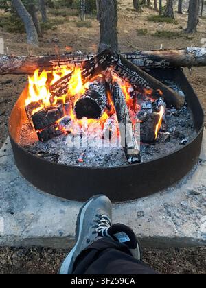 Burning campfire inside a campground fire ring surrounded by pine forest in the Colorado mountains. Stock Photo