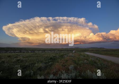 Massive anvil-shaped thunderstorm cloud forming over open grasslands and a rural road. Stock Photo
