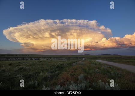 Massive anvil-shaped thunderstorm cloud forming over open grasslands and a rural road. Stock Photo