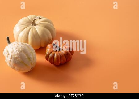 Three white and orange ornamental pumpkins arranged on orange background with generous copy space for autumn, Thanksgiving or Halloween design. Stock Photo