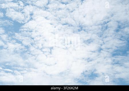 A clear blue sky filled with scattered, fluffy white cumulus clouds. Stock Photo