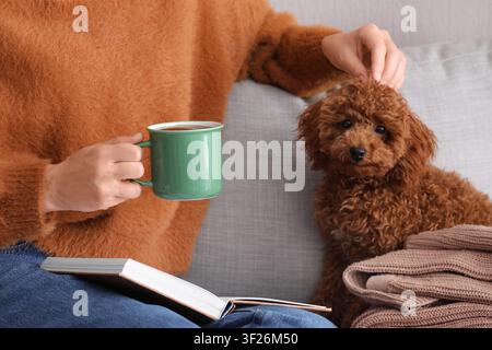 Person in a cozy sweater petting a brown poodle puppy while holding a green mug and reading a book, an open book rests on the persons lap, a moment of Stock Photo