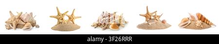Assorted seashells and starfish on sand isolated on white Stock Photo