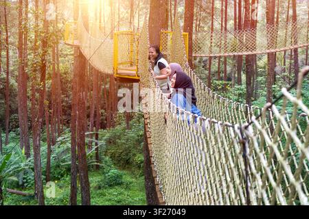 Three young asian Indonesian women smile and enjoy walking on a rope bridge canopy trail in a lush forest with warm sunlight. Stock Photo