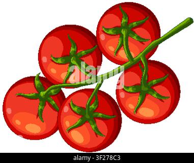 Vector illustration of ripe red tomatoes on a vine with clean white background isolation. Stock Vector