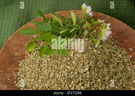 Dry thyme, dried marjoram closeup, oregano pile, ground crushed thyme seasoning, thyme leaves, rosemary herbs and spices on green background Stock Photo