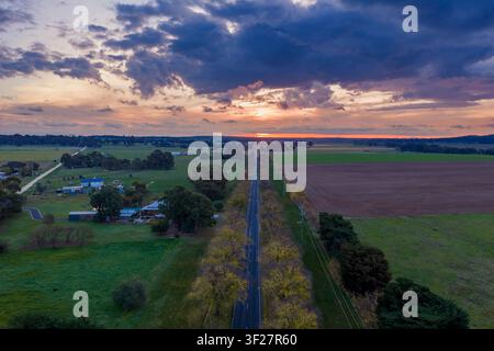 Aerial view of a country road between rows of golden elm trees running toward a colorful sunset  at Newstead in Central Victoria, Australia. Stock Photo