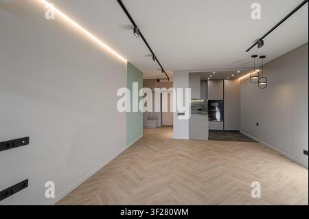 modern apartment interior with herringbone wood flooring, neutral walls, track lighting, and a view into the kitchen area Stock Photo