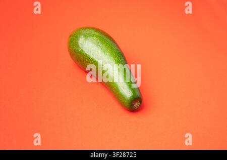 Avocado Isolated, Whole Avokado, One Green Avocado, Single Fresh Alligator Pear, Guacamole Ingredient, Long Avocados Fruit on Red Background Stock Photo
