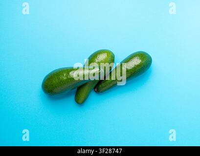 Avocado Isolated, Whole Avokado Set, Three Green Avocados Pile, Fresh Alligator Pear, Guacamole Ingredient, Long Avocado Fruit on Blue Background Stock Photo