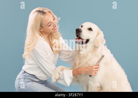 Happy Young Woman Brushing Golden Retriever Dog, Studio Background Stock Photo