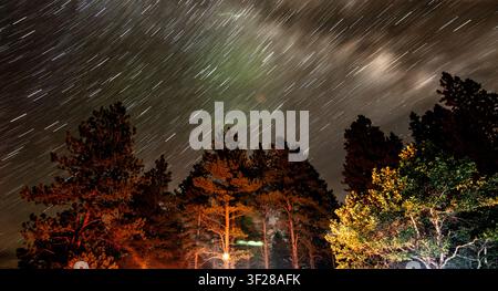 Long exposure star trails over campfire lit trees Stock Photo