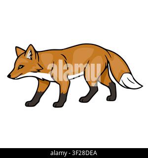 Red fox vector illustration of a wild woodland animal standing in profile Stock Vector