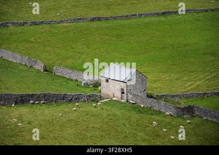 An elevated view of a traditional stone field barn with a corrugated roof, surrounded by grazing sheep and dry stone walls in Hope Valley, UK Stock Photo